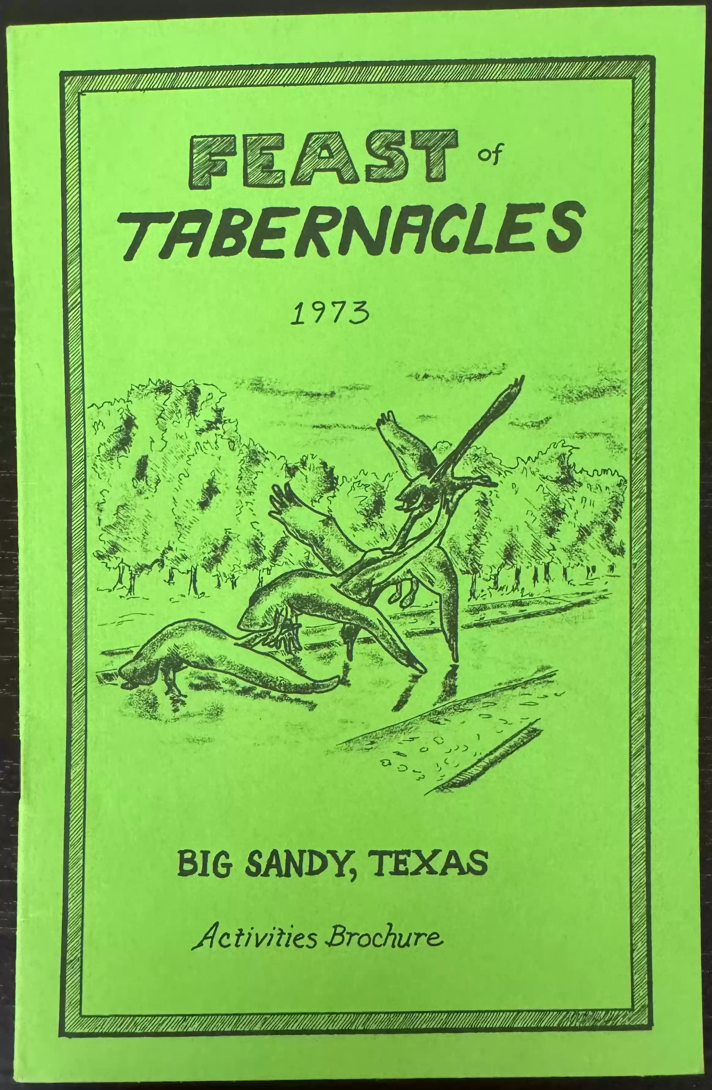 Big Sandy FOT 1973 brochure cover